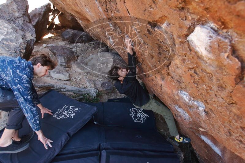 Bouldering in Hueco Tanks on 02/25/2020 with Blue Lizard Climbing and Yoga

Filename: SRM_20200225_1344480.jpg
Aperture: f/4.5
Shutter Speed: 1/250
Body: Canon EOS-1D Mark II
Lens: Canon EF 16-35mm f/2.8 L