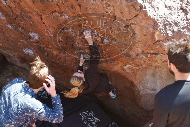 Bouldering in Hueco Tanks on 02/25/2020 with Blue Lizard Climbing and Yoga

Filename: SRM_20200225_1348480.jpg
Aperture: f/6.3
Shutter Speed: 1/250
Body: Canon EOS-1D Mark II
Lens: Canon EF 16-35mm f/2.8 L