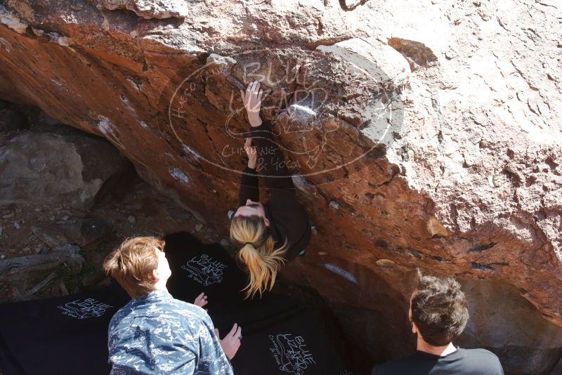 Bouldering in Hueco Tanks on 02/25/2020 with Blue Lizard Climbing and Yoga

Filename: SRM_20200225_1348570.jpg
Aperture: f/9.0
Shutter Speed: 1/250
Body: Canon EOS-1D Mark II
Lens: Canon EF 16-35mm f/2.8 L