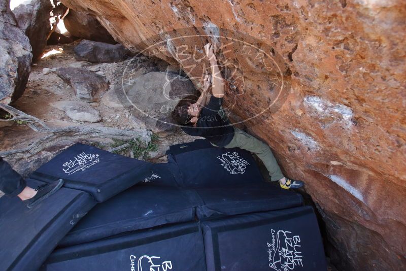 Bouldering in Hueco Tanks on 02/25/2020 with Blue Lizard Climbing and Yoga

Filename: SRM_20200225_1400180.jpg
Aperture: f/4.0
Shutter Speed: 1/250
Body: Canon EOS-1D Mark II
Lens: Canon EF 16-35mm f/2.8 L