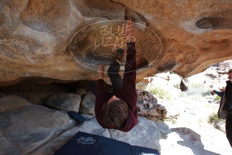 Bouldering in Hueco Tanks on 02/25/2020 with Blue Lizard Climbing and Yoga

Filename: SRM_20200225_1519401.jpg
Aperture: f/8.0
Shutter Speed: 1/250
Body: Canon EOS-1D Mark II
Lens: Canon EF 16-35mm f/2.8 L