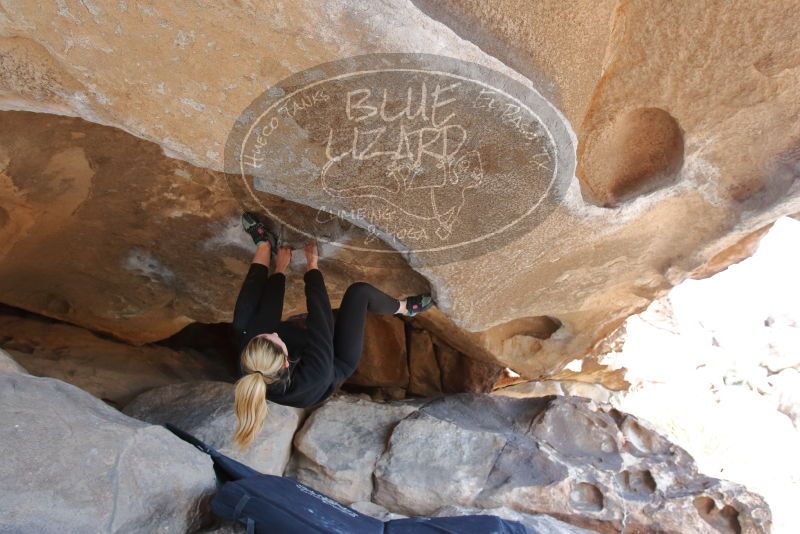 Bouldering in Hueco Tanks on 02/25/2020 with Blue Lizard Climbing and Yoga

Filename: SRM_20200225_1527360.jpg
Aperture: f/5.0
Shutter Speed: 1/250
Body: Canon EOS-1D Mark II
Lens: Canon EF 16-35mm f/2.8 L