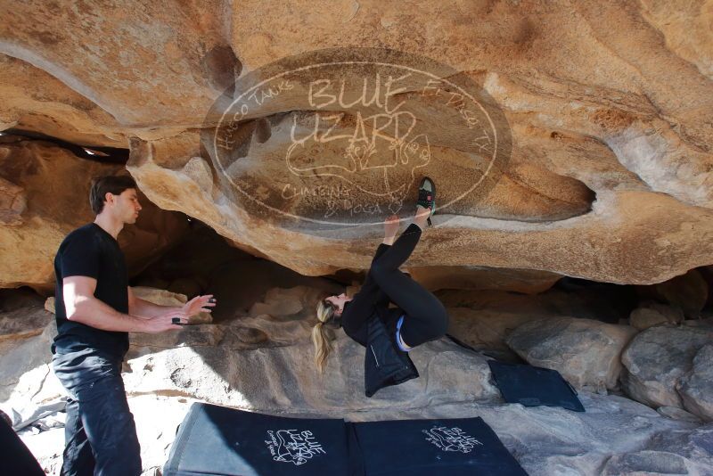 Bouldering in Hueco Tanks on 02/25/2020 with Blue Lizard Climbing and Yoga

Filename: SRM_20200225_1540490.jpg
Aperture: f/7.1
Shutter Speed: 1/250
Body: Canon EOS-1D Mark II
Lens: Canon EF 16-35mm f/2.8 L