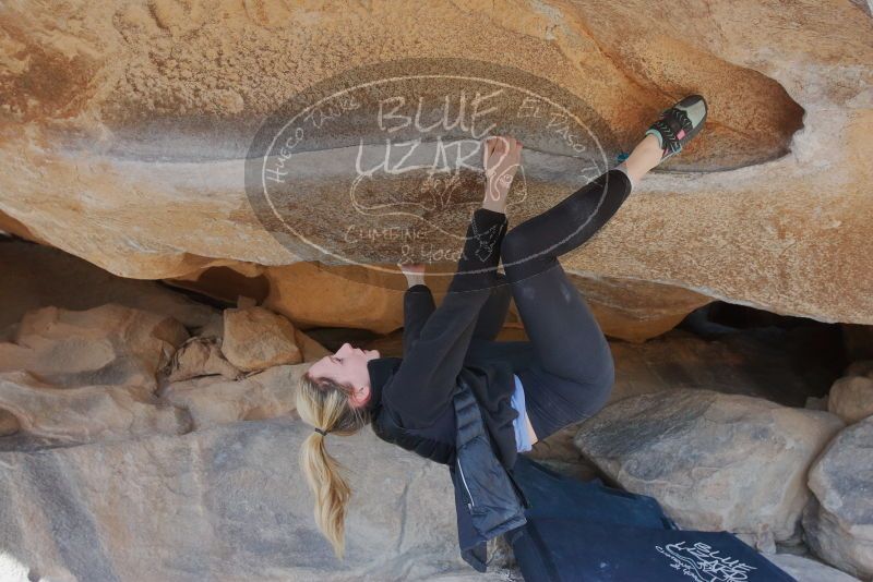 Bouldering in Hueco Tanks on 02/25/2020 with Blue Lizard Climbing and Yoga

Filename: SRM_20200225_1550550.jpg
Aperture: f/6.3
Shutter Speed: 1/250
Body: Canon EOS-1D Mark II
Lens: Canon EF 16-35mm f/2.8 L