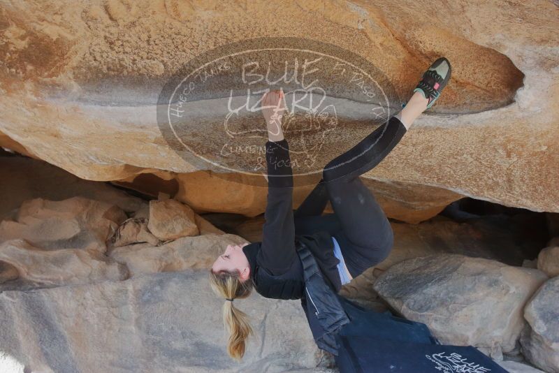 Bouldering in Hueco Tanks on 02/25/2020 with Blue Lizard Climbing and Yoga

Filename: SRM_20200225_1550560.jpg
Aperture: f/6.3
Shutter Speed: 1/250
Body: Canon EOS-1D Mark II
Lens: Canon EF 16-35mm f/2.8 L