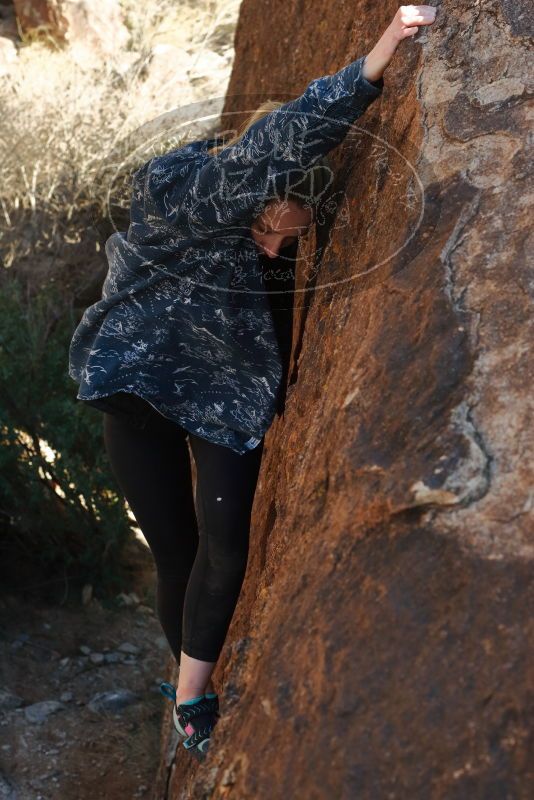 Bouldering in Hueco Tanks on 02/25/2020 with Blue Lizard Climbing and Yoga

Filename: SRM_20200225_1720240.jpg
Aperture: f/6.3
Shutter Speed: 1/250
Body: Canon EOS-1D Mark II
Lens: Canon EF 50mm f/1.8 II