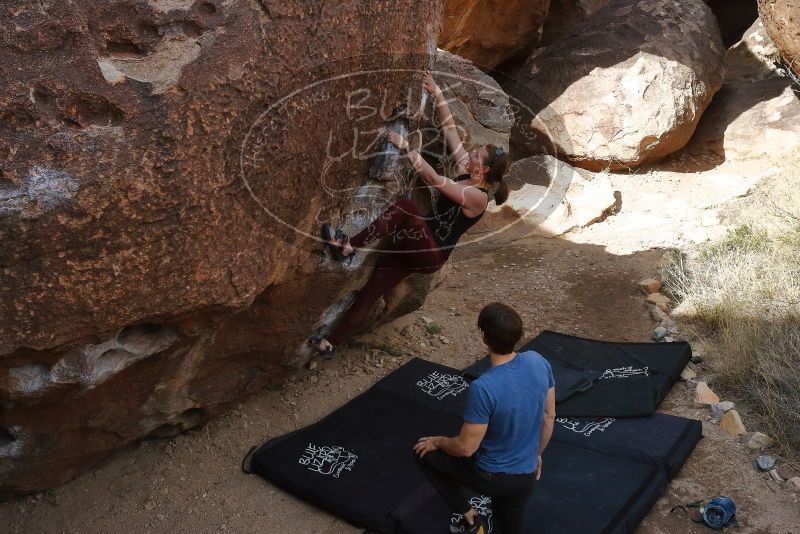 Bouldering in Hueco Tanks on 02/28/2020 with Blue Lizard Climbing and Yoga

Filename: SRM_20200228_1148200.jpg
Aperture: f/7.1
Shutter Speed: 1/250
Body: Canon EOS-1D Mark II
Lens: Canon EF 16-35mm f/2.8 L