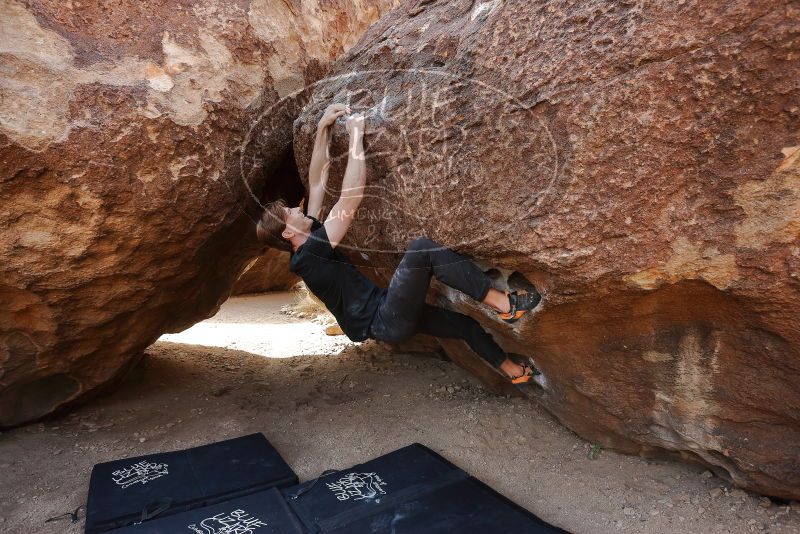 Bouldering in Hueco Tanks on 02/28/2020 with Blue Lizard Climbing and Yoga

Filename: SRM_20200228_1206290.jpg
Aperture: f/5.0
Shutter Speed: 1/250
Body: Canon EOS-1D Mark II
Lens: Canon EF 16-35mm f/2.8 L