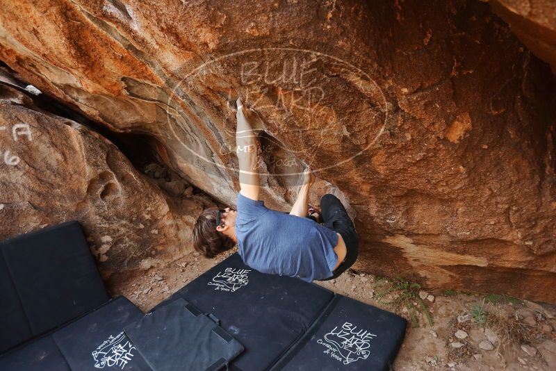 Bouldering in Hueco Tanks on 02/28/2020 with Blue Lizard Climbing and Yoga

Filename: SRM_20200228_1211100.jpg
Aperture: f/3.2
Shutter Speed: 1/320
Body: Canon EOS-1D Mark II
Lens: Canon EF 16-35mm f/2.8 L