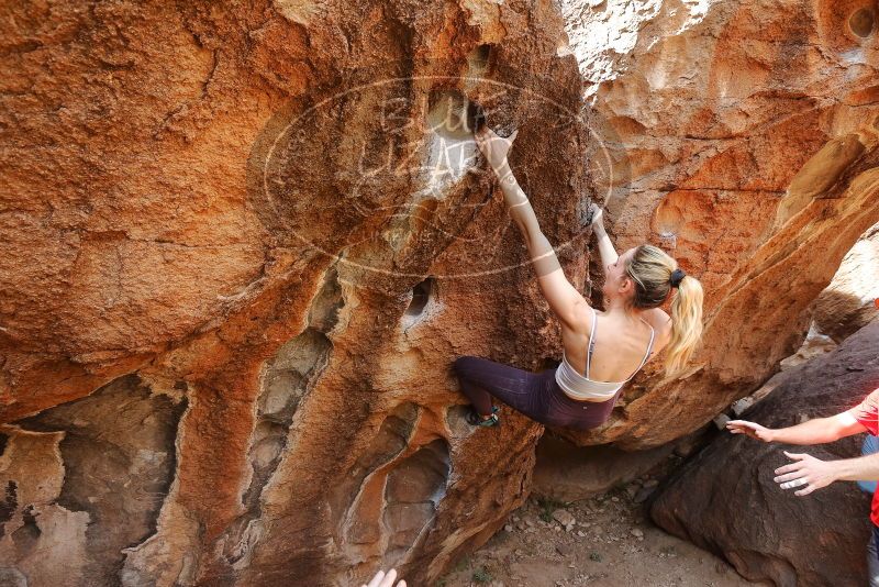 Bouldering in Hueco Tanks on 02/28/2020 with Blue Lizard Climbing and Yoga

Filename: SRM_20200228_1230570.jpg
Aperture: f/5.6
Shutter Speed: 1/250
Body: Canon EOS-1D Mark II
Lens: Canon EF 16-35mm f/2.8 L