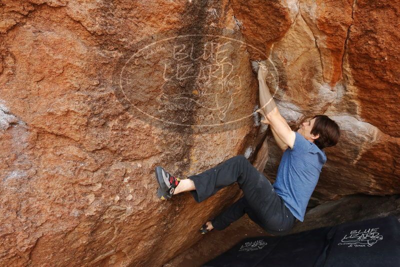 Bouldering in Hueco Tanks on 02/28/2020 with Blue Lizard Climbing and Yoga

Filename: SRM_20200228_1244380.jpg
Aperture: f/7.1
Shutter Speed: 1/250
Body: Canon EOS-1D Mark II
Lens: Canon EF 16-35mm f/2.8 L