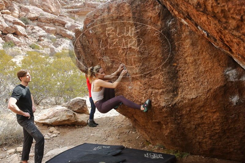 Bouldering in Hueco Tanks on 02/28/2020 with Blue Lizard Climbing and Yoga

Filename: SRM_20200228_1253550.jpg
Aperture: f/8.0
Shutter Speed: 1/250
Body: Canon EOS-1D Mark II
Lens: Canon EF 16-35mm f/2.8 L