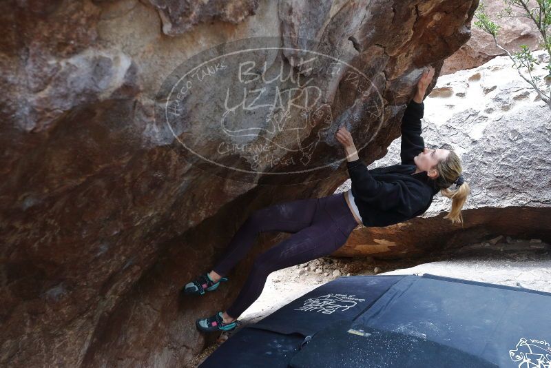 Bouldering in Hueco Tanks on 02/28/2020 with Blue Lizard Climbing and Yoga

Filename: SRM_20200228_1313070.jpg
Aperture: f/4.5
Shutter Speed: 1/250
Body: Canon EOS-1D Mark II
Lens: Canon EF 16-35mm f/2.8 L