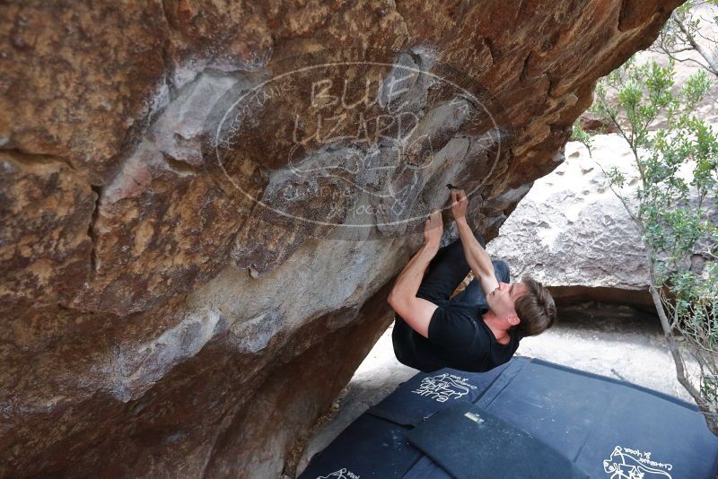 Bouldering in Hueco Tanks on 02/28/2020 with Blue Lizard Climbing and Yoga

Filename: SRM_20200228_1318110.jpg
Aperture: f/4.5
Shutter Speed: 1/250
Body: Canon EOS-1D Mark II
Lens: Canon EF 16-35mm f/2.8 L