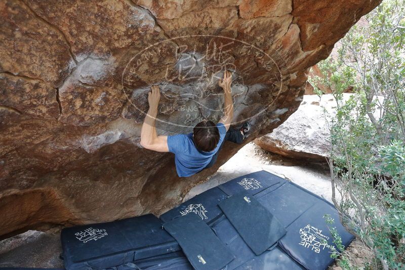 Bouldering in Hueco Tanks on 02/28/2020 with Blue Lizard Climbing and Yoga

Filename: SRM_20200228_1327490.jpg
Aperture: f/4.0
Shutter Speed: 1/250
Body: Canon EOS-1D Mark II
Lens: Canon EF 16-35mm f/2.8 L