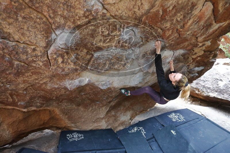 Bouldering in Hueco Tanks on 02/28/2020 with Blue Lizard Climbing and Yoga

Filename: SRM_20200228_1328310.jpg
Aperture: f/3.5
Shutter Speed: 1/250
Body: Canon EOS-1D Mark II
Lens: Canon EF 16-35mm f/2.8 L