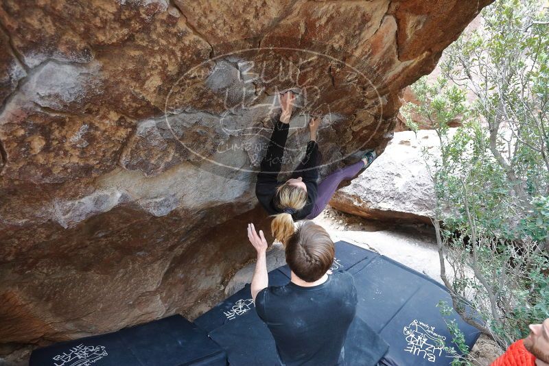 Bouldering in Hueco Tanks on 02/28/2020 with Blue Lizard Climbing and Yoga

Filename: SRM_20200228_1329320.jpg
Aperture: f/4.0
Shutter Speed: 1/250
Body: Canon EOS-1D Mark II
Lens: Canon EF 16-35mm f/2.8 L