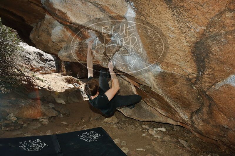 Bouldering in Hueco Tanks on 02/28/2020 with Blue Lizard Climbing and Yoga

Filename: SRM_20200228_1424060.jpg
Aperture: f/8.0
Shutter Speed: 1/250
Body: Canon EOS-1D Mark II
Lens: Canon EF 16-35mm f/2.8 L