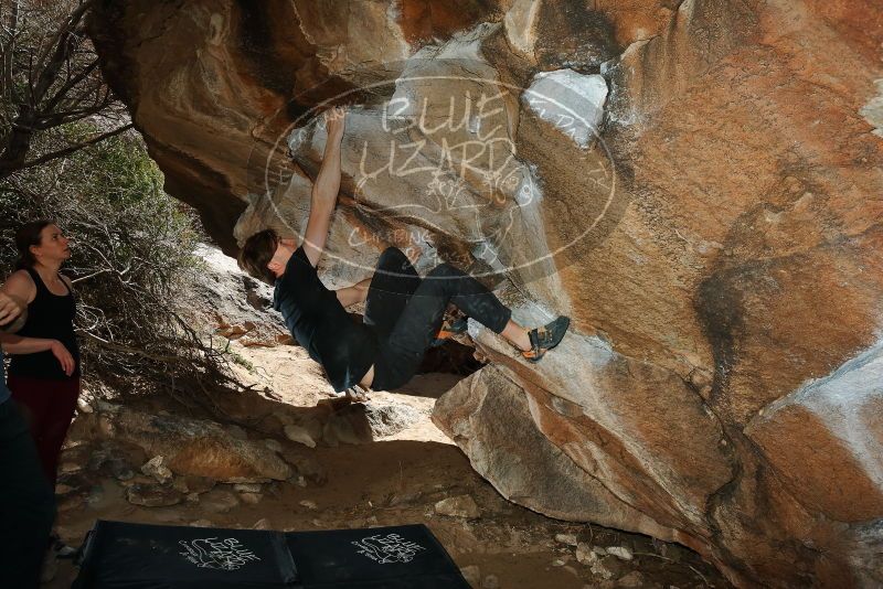 Bouldering in Hueco Tanks on 02/28/2020 with Blue Lizard Climbing and Yoga

Filename: SRM_20200228_1424150.jpg
Aperture: f/8.0
Shutter Speed: 1/250
Body: Canon EOS-1D Mark II
Lens: Canon EF 16-35mm f/2.8 L