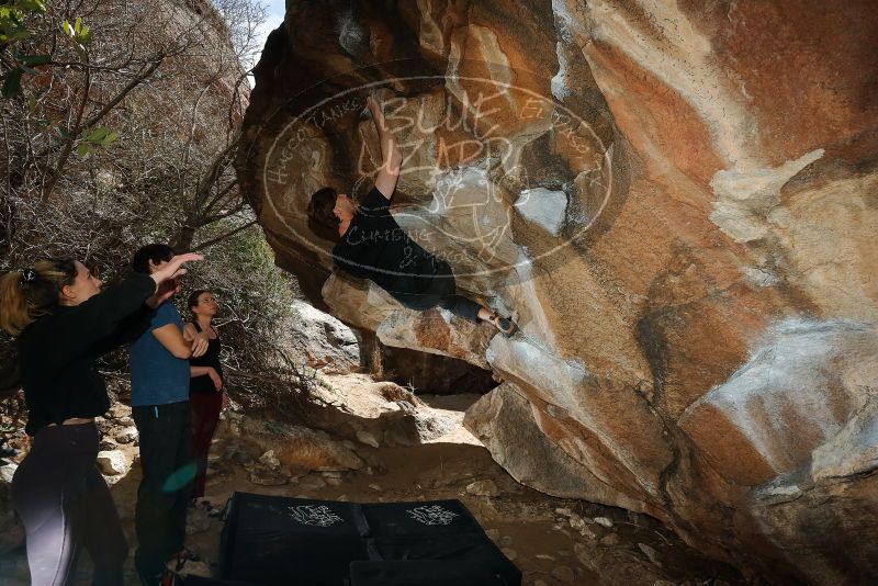 Bouldering in Hueco Tanks on 02/28/2020 with Blue Lizard Climbing and Yoga

Filename: SRM_20200228_1424190.jpg
Aperture: f/8.0
Shutter Speed: 1/250
Body: Canon EOS-1D Mark II
Lens: Canon EF 16-35mm f/2.8 L