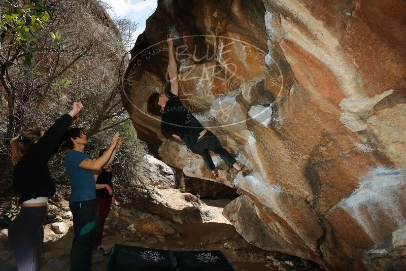 Bouldering in Hueco Tanks on 02/28/2020 with Blue Lizard Climbing and Yoga

Filename: SRM_20200228_1424240.jpg
Aperture: f/8.0
Shutter Speed: 1/250
Body: Canon EOS-1D Mark II
Lens: Canon EF 16-35mm f/2.8 L