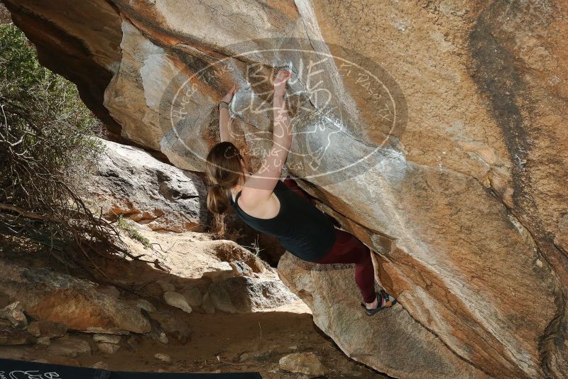 Bouldering in Hueco Tanks on 02/28/2020 with Blue Lizard Climbing and Yoga

Filename: SRM_20200228_1426080.jpg
Aperture: f/8.0
Shutter Speed: 1/250
Body: Canon EOS-1D Mark II
Lens: Canon EF 16-35mm f/2.8 L