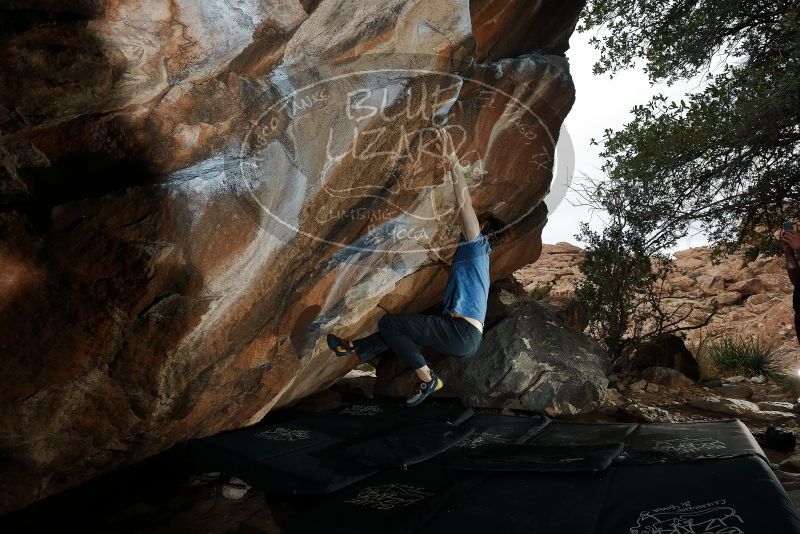 Bouldering in Hueco Tanks on 02/28/2020 with Blue Lizard Climbing and Yoga

Filename: SRM_20200228_1438040.jpg
Aperture: f/8.0
Shutter Speed: 1/250
Body: Canon EOS-1D Mark II
Lens: Canon EF 16-35mm f/2.8 L