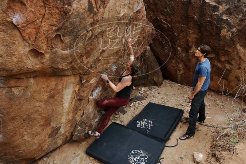 Bouldering in Hueco Tanks on 02/28/2020 with Blue Lizard Climbing and Yoga

Filename: SRM_20200228_1450440.jpg
Aperture: f/4.5
Shutter Speed: 1/250
Body: Canon EOS-1D Mark II
Lens: Canon EF 16-35mm f/2.8 L