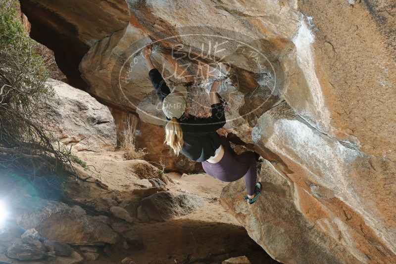 Bouldering in Hueco Tanks on 02/28/2020 with Blue Lizard Climbing and Yoga

Filename: SRM_20200228_1503090.jpg
Aperture: f/5.6
Shutter Speed: 1/250
Body: Canon EOS-1D Mark II
Lens: Canon EF 16-35mm f/2.8 L