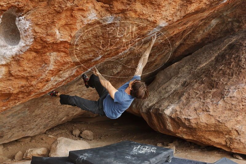 Bouldering in Hueco Tanks on 02/28/2020 with Blue Lizard Climbing and Yoga

Filename: SRM_20200228_1505460.jpg
Aperture: f/5.0
Shutter Speed: 1/250
Body: Canon EOS-1D Mark II
Lens: Canon EF 16-35mm f/2.8 L