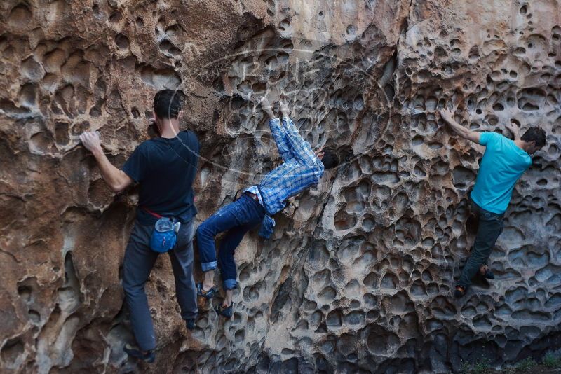 Bouldering in Hueco Tanks on 02/28/2020 with Blue Lizard Climbing and Yoga

Filename: SRM_20200228_1648000.jpg
Aperture: f/3.2
Shutter Speed: 1/250
Body: Canon EOS-1D Mark II
Lens: Canon EF 50mm f/1.8 II