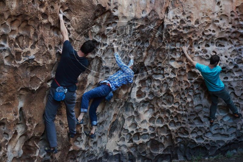 Bouldering in Hueco Tanks on 02/28/2020 with Blue Lizard Climbing and Yoga

Filename: SRM_20200228_1648020.jpg
Aperture: f/4.0
Shutter Speed: 1/160
Body: Canon EOS-1D Mark II
Lens: Canon EF 50mm f/1.8 II