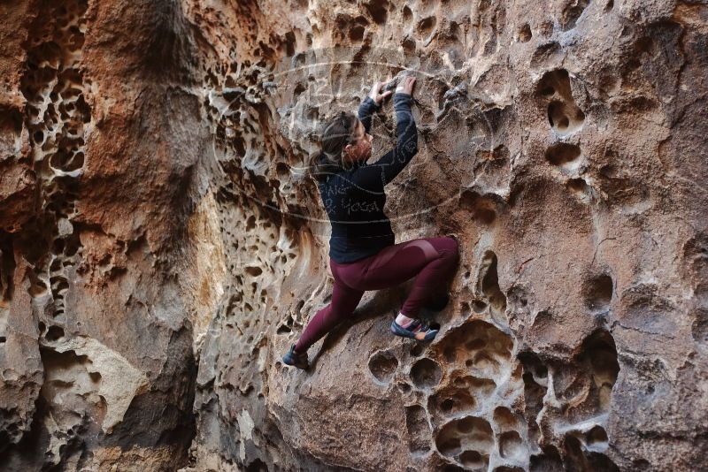 Bouldering in Hueco Tanks on 02/28/2020 with Blue Lizard Climbing and Yoga

Filename: SRM_20200228_1650000.jpg
Aperture: f/2.8
Shutter Speed: 1/100
Body: Canon EOS-1D Mark II
Lens: Canon EF 50mm f/1.8 II