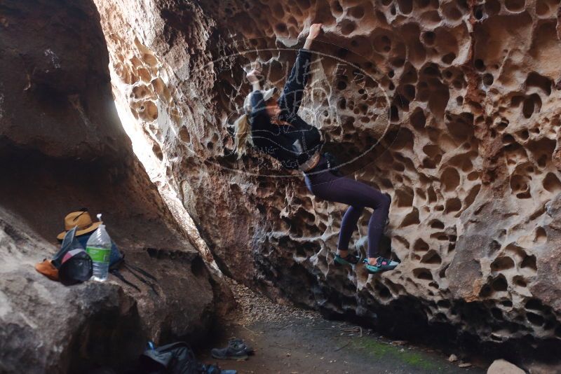 Bouldering in Hueco Tanks on 02/28/2020 with Blue Lizard Climbing and Yoga

Filename: SRM_20200228_1651230.jpg
Aperture: f/3.2
Shutter Speed: 1/100
Body: Canon EOS-1D Mark II
Lens: Canon EF 50mm f/1.8 II