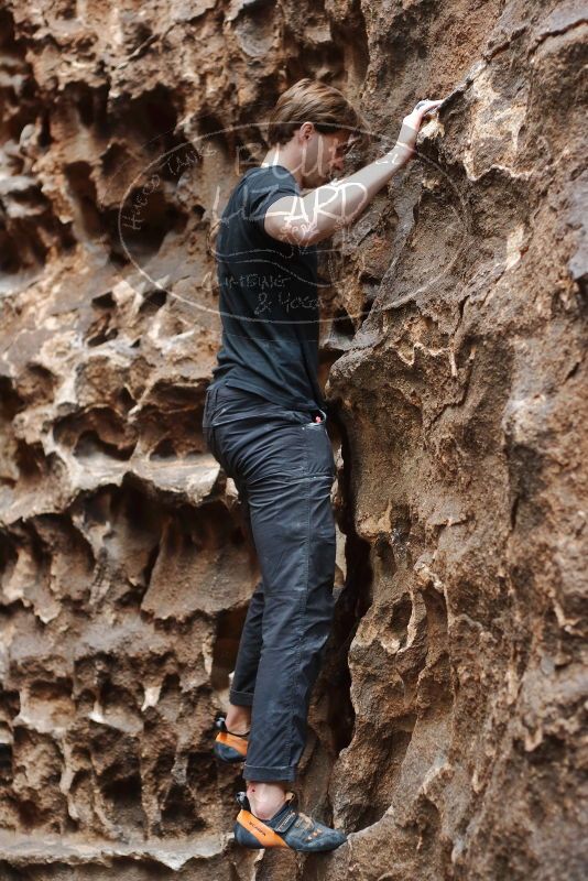 Bouldering in Hueco Tanks on 02/28/2020 with Blue Lizard Climbing and Yoga

Filename: SRM_20200228_1656400.jpg
Aperture: f/2.8
Shutter Speed: 1/100
Body: Canon EOS-1D Mark II
Lens: Canon EF 50mm f/1.8 II