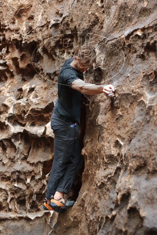 Bouldering in Hueco Tanks on 02/28/2020 with Blue Lizard Climbing and Yoga

Filename: SRM_20200228_1656490.jpg
Aperture: f/2.8
Shutter Speed: 1/100
Body: Canon EOS-1D Mark II
Lens: Canon EF 50mm f/1.8 II