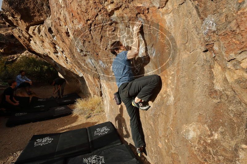 Bouldering in Hueco Tanks on 02/28/2020 with Blue Lizard Climbing and Yoga

Filename: SRM_20200228_1749120.jpg
Aperture: f/7.1
Shutter Speed: 1/500
Body: Canon EOS-1D Mark II
Lens: Canon EF 16-35mm f/2.8 L