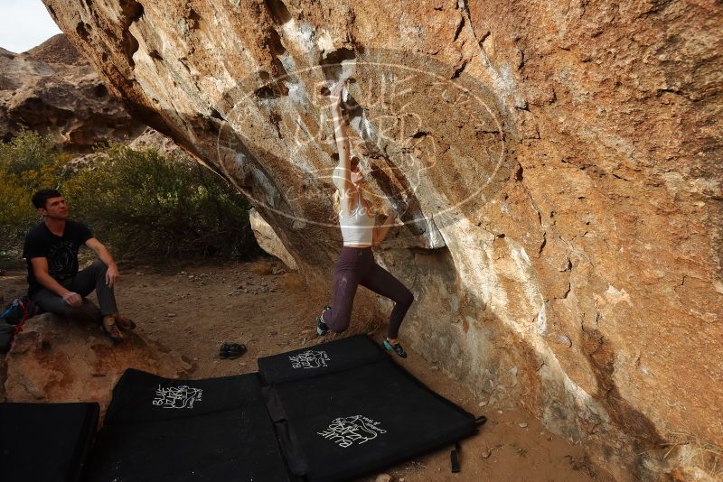 Bouldering in Hueco Tanks on 02/28/2020 with Blue Lizard Climbing and Yoga

Filename: SRM_20200228_1758391.jpg
Aperture: f/6.3
Shutter Speed: 1/320
Body: Canon EOS-1D Mark II
Lens: Canon EF 16-35mm f/2.8 L