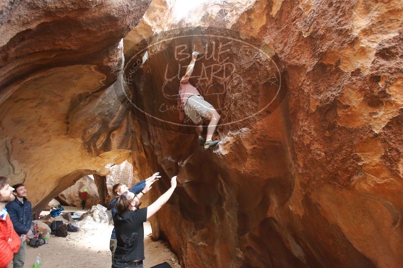 Bouldering in Hueco Tanks on 02/29/2020 with Blue Lizard Climbing and Yoga

Filename: SRM_20200229_1404460.jpg
Aperture: f/4.0
Shutter Speed: 1/250
Body: Canon EOS-1D Mark II
Lens: Canon EF 16-35mm f/2.8 L