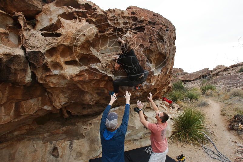 Bouldering in Hueco Tanks on 02/29/2020 with Blue Lizard Climbing and Yoga

Filename: SRM_20200229_1642470.jpg
Aperture: f/6.3
Shutter Speed: 1/250
Body: Canon EOS-1D Mark II
Lens: Canon EF 16-35mm f/2.8 L