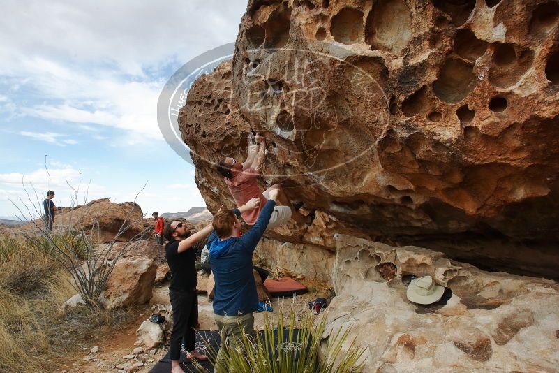 Bouldering in Hueco Tanks on 02/29/2020 with Blue Lizard Climbing and Yoga

Filename: SRM_20200229_1711230.jpg
Aperture: f/8.0
Shutter Speed: 1/400
Body: Canon EOS-1D Mark II
Lens: Canon EF 16-35mm f/2.8 L