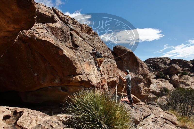 Bouldering in Hueco Tanks on 03/07/2020 with Blue Lizard Climbing and Yoga

Filename: SRM_20200307_1117190.jpg
Aperture: f/5.6
Shutter Speed: 1/1250
Body: Canon EOS-1D Mark II
Lens: Canon EF 16-35mm f/2.8 L