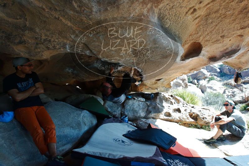 Bouldering in Hueco Tanks on 03/07/2020 with Blue Lizard Climbing and Yoga

Filename: SRM_20200307_1120420.jpg
Aperture: f/5.6
Shutter Speed: 1/250
Body: Canon EOS-1D Mark II
Lens: Canon EF 16-35mm f/2.8 L