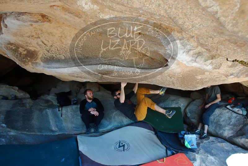 Bouldering in Hueco Tanks on 03/07/2020 with Blue Lizard Climbing and Yoga

Filename: SRM_20200307_1139560.jpg
Aperture: f/5.6
Shutter Speed: 1/320
Body: Canon EOS-1D Mark II
Lens: Canon EF 16-35mm f/2.8 L