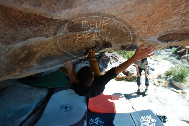 Bouldering in Hueco Tanks on 03/07/2020 with Blue Lizard Climbing and Yoga

Filename: SRM_20200307_1140290.jpg
Aperture: f/5.6
Shutter Speed: 1/800
Body: Canon EOS-1D Mark II
Lens: Canon EF 16-35mm f/2.8 L