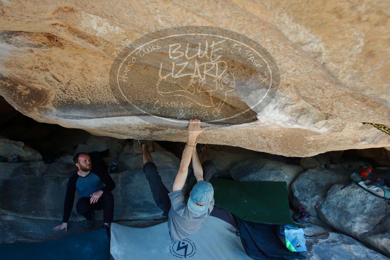 Bouldering in Hueco Tanks on 03/07/2020 with Blue Lizard Climbing and Yoga

Filename: SRM_20200307_1143350.jpg
Aperture: f/5.6
Shutter Speed: 1/250
Body: Canon EOS-1D Mark II
Lens: Canon EF 16-35mm f/2.8 L