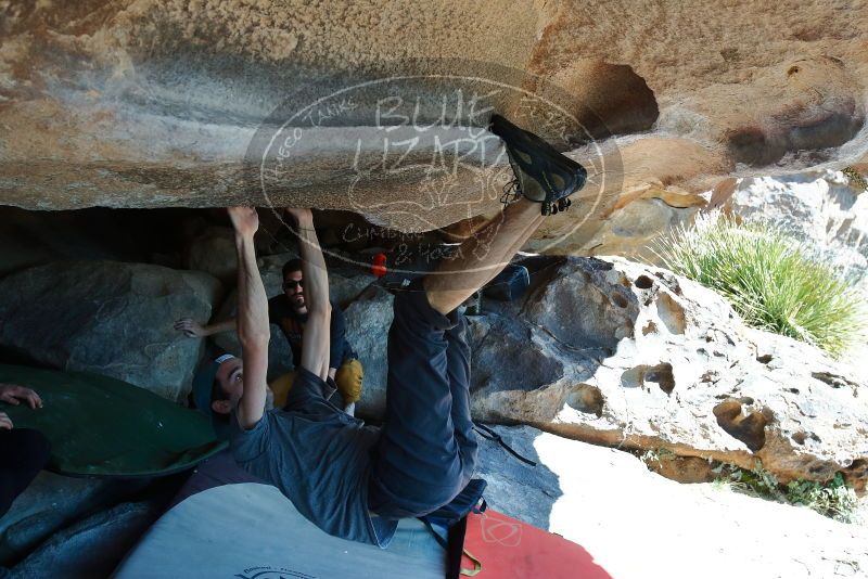 Bouldering in Hueco Tanks on 03/07/2020 with Blue Lizard Climbing and Yoga

Filename: SRM_20200307_1158050.jpg
Aperture: f/5.6
Shutter Speed: 1/400
Body: Canon EOS-1D Mark II
Lens: Canon EF 16-35mm f/2.8 L