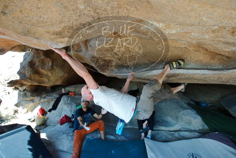 Bouldering in Hueco Tanks on 03/07/2020 with Blue Lizard Climbing and Yoga

Filename: SRM_20200307_1219130.jpg
Aperture: f/5.0
Shutter Speed: 1/400
Body: Canon EOS-1D Mark II
Lens: Canon EF 16-35mm f/2.8 L