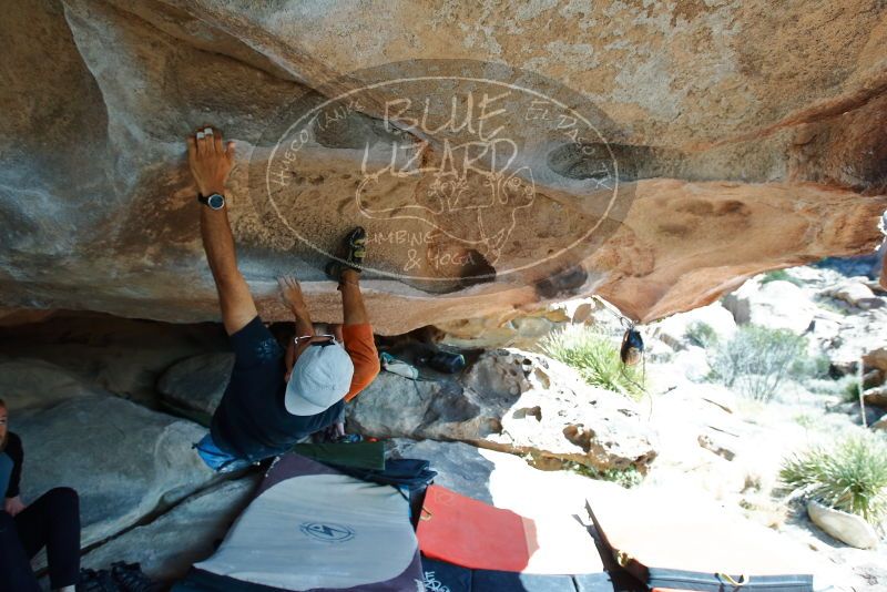 Bouldering in Hueco Tanks on 03/07/2020 with Blue Lizard Climbing and Yoga

Filename: SRM_20200307_1224470.jpg
Aperture: f/5.0
Shutter Speed: 1/500
Body: Canon EOS-1D Mark II
Lens: Canon EF 16-35mm f/2.8 L