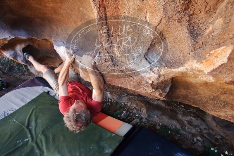 Bouldering in Hueco Tanks on 03/07/2020 with Blue Lizard Climbing and Yoga

Filename: SRM_20200307_1419301.jpg
Aperture: f/5.0
Shutter Speed: 1/320
Body: Canon EOS-1D Mark II
Lens: Canon EF 16-35mm f/2.8 L